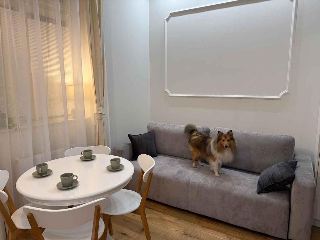 Wygodna sofa